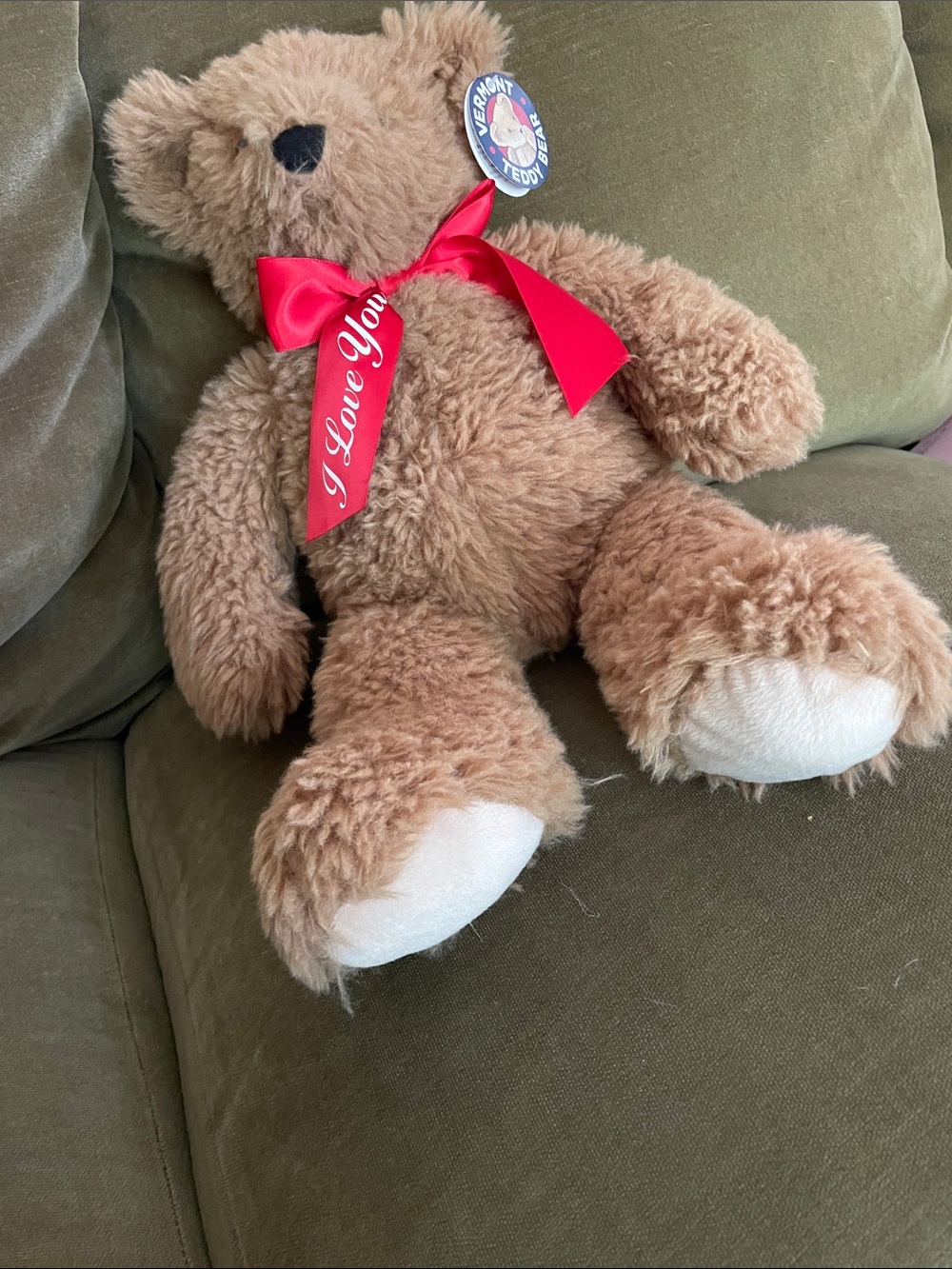 Vermont Teddy Bear with Red 'I Love You' Ribbon - Picture 7 of 7